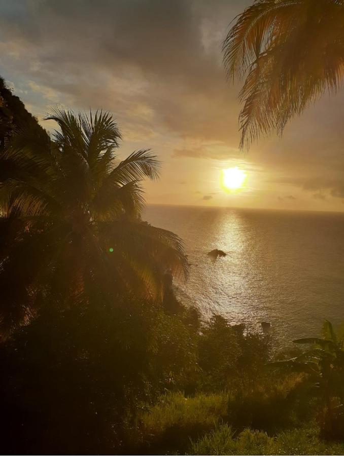 Castara Inn Dış mekan fotoğraf