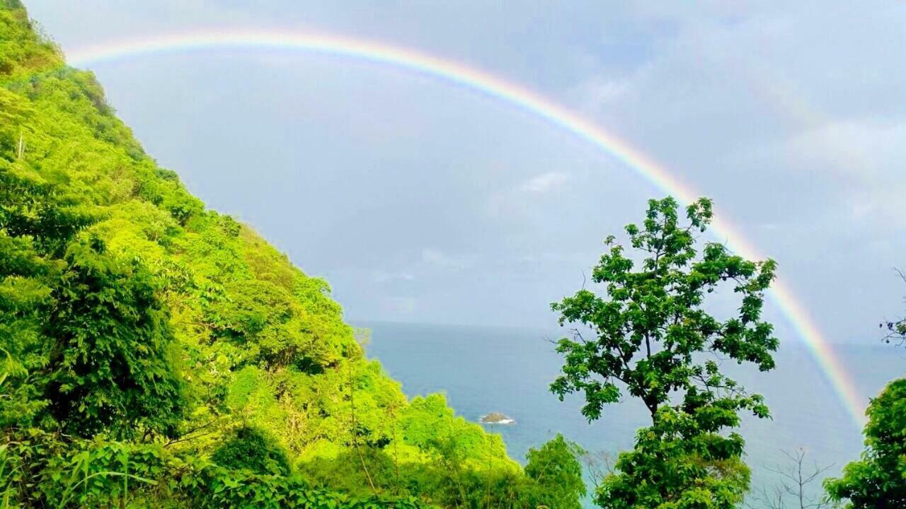 Castara Inn Dış mekan fotoğraf